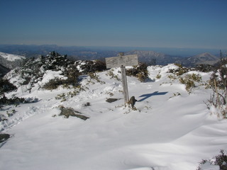 20070203nisikuma
